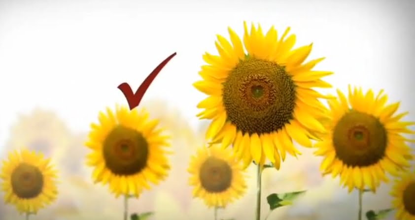 1994 – 2019 EN OHR, CUMPLIMOS 25 AÑOS